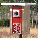 Bluebird Convertible--Red Barn